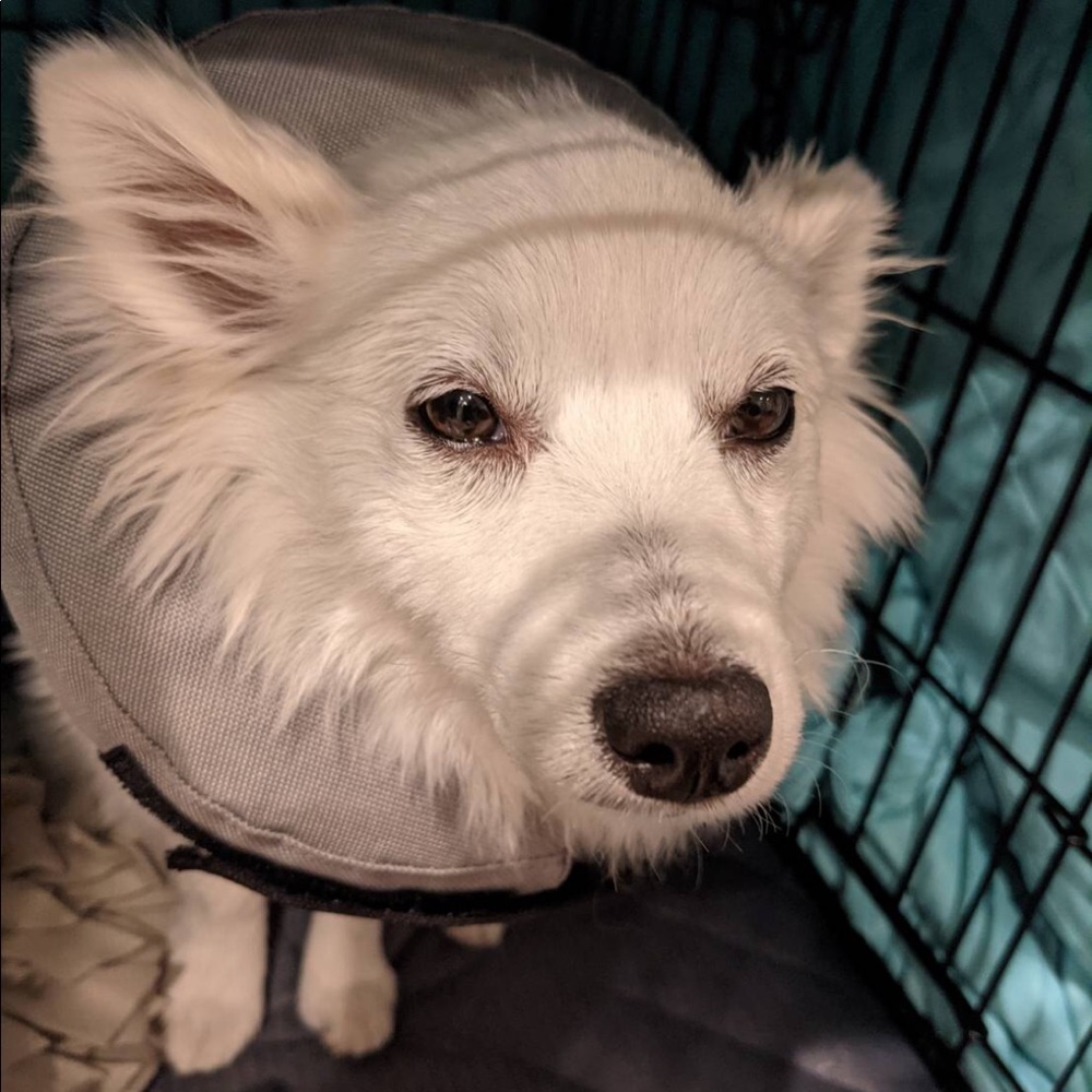 Meet your Posher, Mei